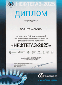 Диплом 2025г